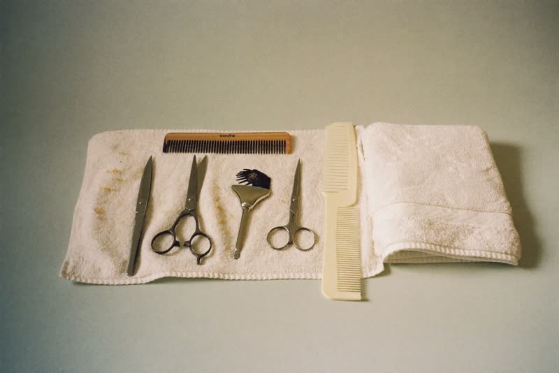 Grooming tools laid out on a clean towel: comb, brush, scissors and clippers